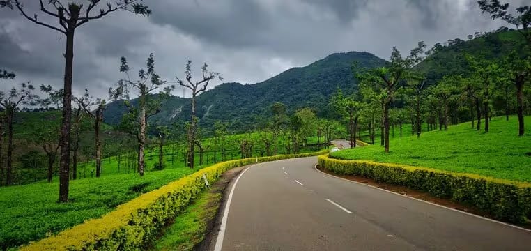 Ooty – Botanical Garden & Hills Ooty – Botanical Garden & Hills